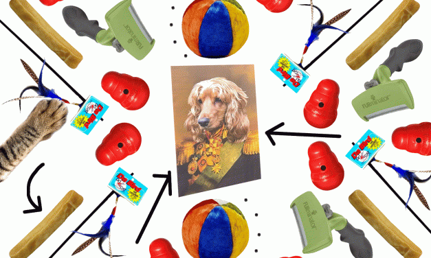 Our Pet Expert on the Best Gifts for Your Dog or Cat