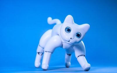 There’s a robot cat you can back on Kickstarter