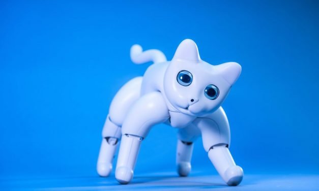 There’s a robot cat you can back on Kickstarter