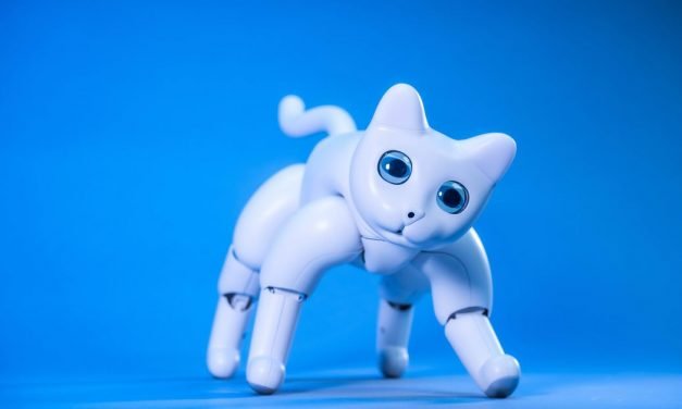 There&rsquo;s a robot cat you can back on Kickstarter