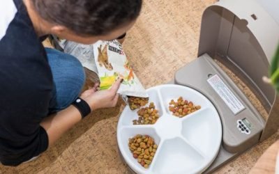 No, You Shouldn&rsquo;t Just Get an Automatic Pet Feeder and Skip Town
