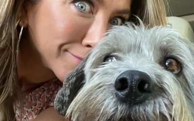 Three Reasons Why You Shouldn't Buy Someone a Pet for Christmas