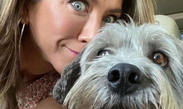 Three Reasons Why You Shouldn't Buy Someone a Pet for Christmas
