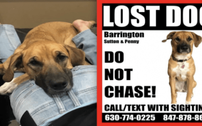 Teenage Boy With Cancer Searches For Lost Dog