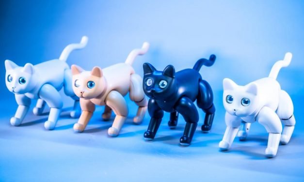 Robot kitties and smart trash cans are getting buzz at CES 2020
