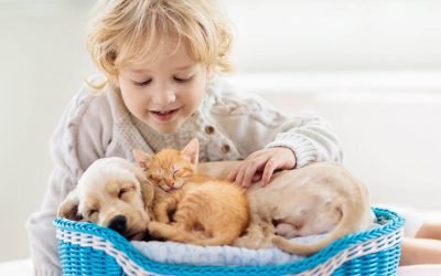 Show your pet some love with these top products