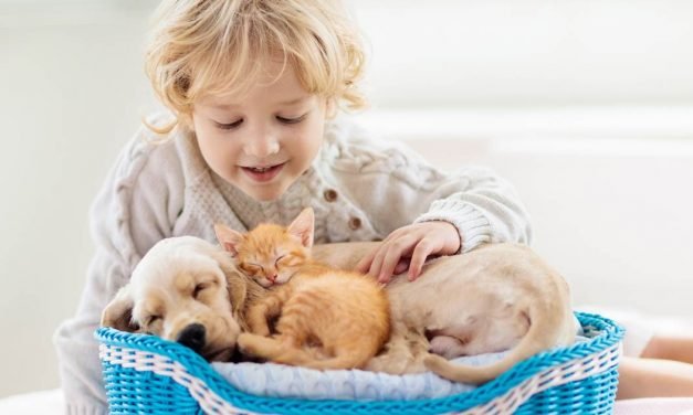 Show your pet some love with these top products