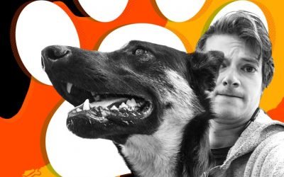 What I Learned From More Than a Year as Slate&rsquo;s Pet Advice Columnist