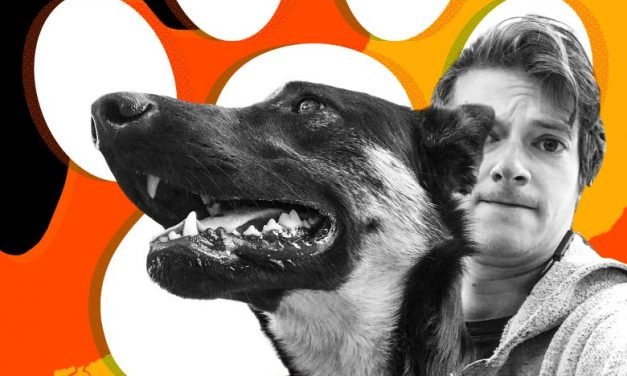 What I Learned From More Than a Year as Slate&rsquo;s Pet Advice Columnist