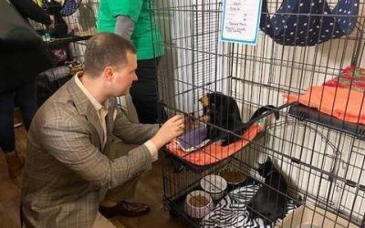 The Healthy Pet Opens Doors. New Local Business Offers Nutritious Food for Family Pets – TAPinto.net