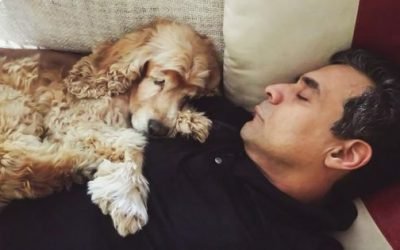 How To Make Plans To Provide Care For Your Pet If You Can&rsquo;t