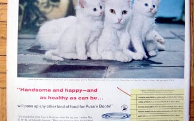 1958 Puss'n Boots Cat Food-Kittens On The Patio-Original 13.5 * 10.5 Magazine Ad