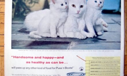 1958 Puss'n Boots Cat Food-Kittens On The Patio-Original 13.5 * 10.5  Magazine Ad