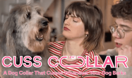 Crude “Cuss Collar” Swears When Your Dog Barks