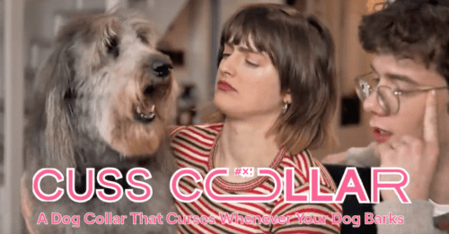 Crude “Cuss Collar” Swears When Your Dog Barks