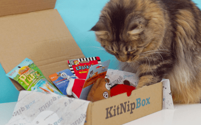 Yes, your cat deserves a subscription box, too