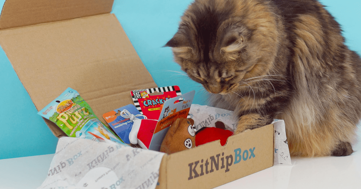 Yes, your cat deserves a subscription box, too