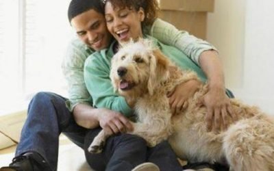 Is Residential Real Estate Going To The Dogs?