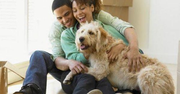 Is Residential Real Estate Going To The Dogs?