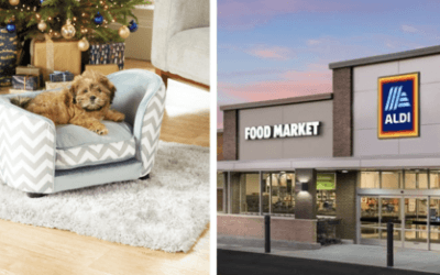Aldi Releases Tiny Dog Sofas That Every Pup Deserves