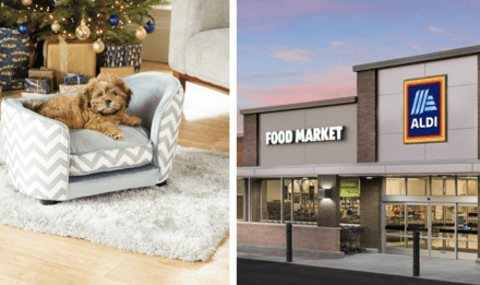 Aldi Releases Tiny Dog Sofas That Every Pup Deserves