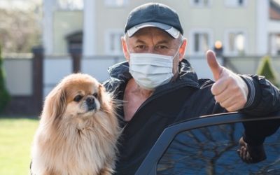 Coronavirus (COVID-19): What Pet Parents Need To Know