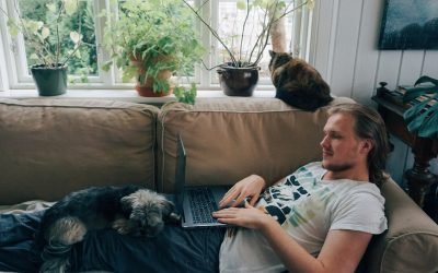 We Asked Scientists If Our Pets Love Us Being Home All the Time