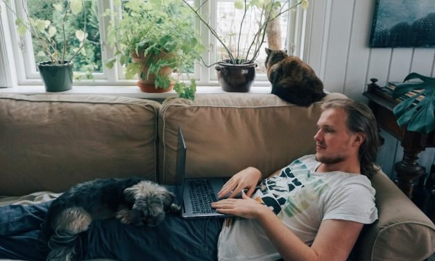 We Asked Scientists If Our Pets Love Us Being Home All the Time
