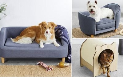 Aldi Australia brings back its famous SOFA – and it's the most luxurious design yet