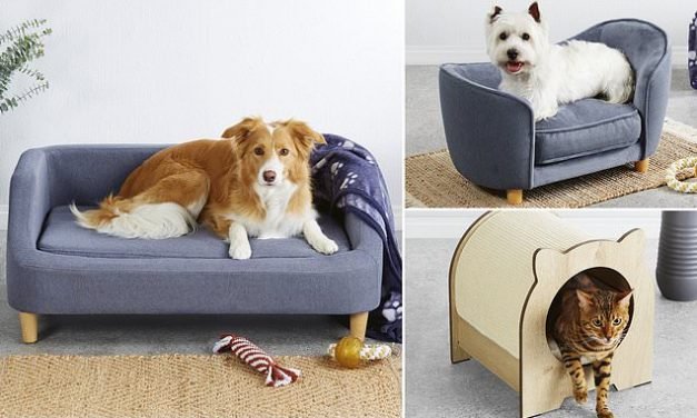 Aldi Australia brings back its famous SOFA – and it's the most luxurious design yet
