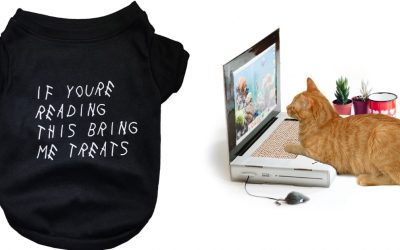 Nordstrom's Newest Pop-Up Shop For Pets Is So Cute, We Wish It Was For Us