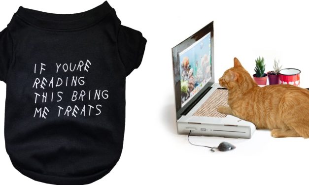 Nordstrom's Newest Pop-Up Shop For Pets Is So Cute, We Wish It Was For Us
