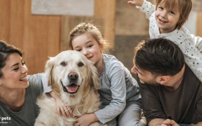 12 Science-Based Reasons Why Pets Improve Our Lives