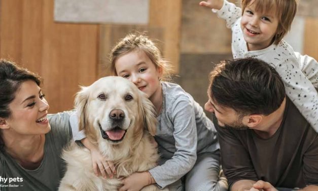 12 Science-Based Reasons Why Pets Improve Our Lives