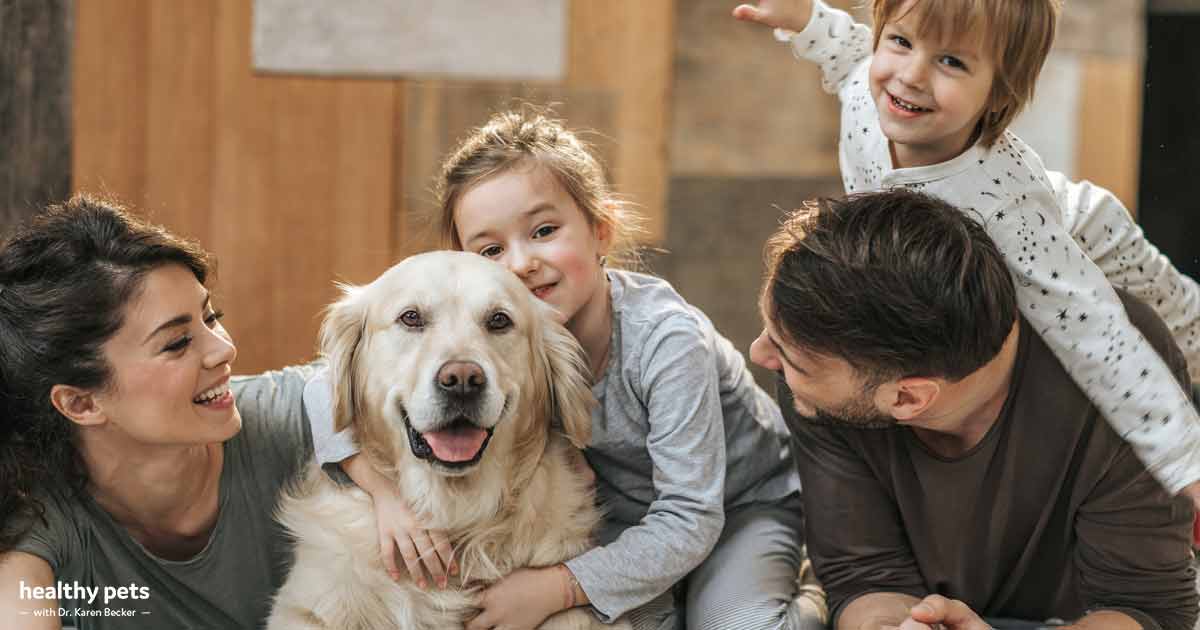 12 Science-Based Reasons Why Pets Improve Our Lives