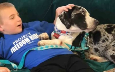 This Kid Finds Homes for Shelter Dogs