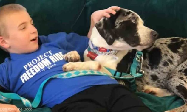 This Kid Finds Homes for Shelter Dogs