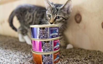 Americans are panic buying food for their pets