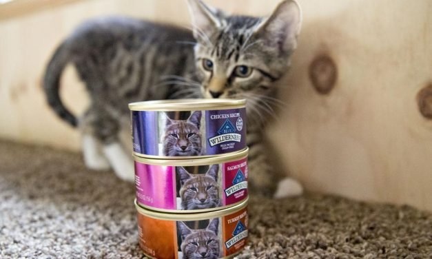 Americans are panic buying food for their pets