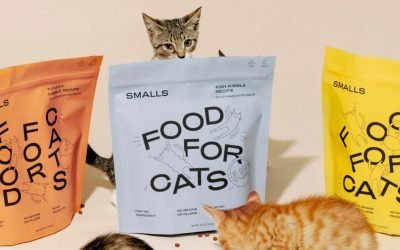 Make sure your pets stay pampered with these food delivery services