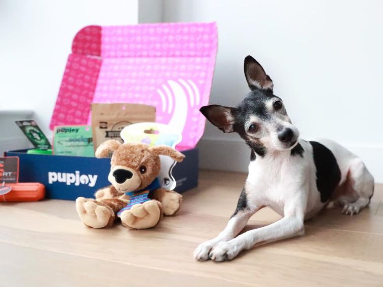 Best dog food delivery services for 2020: Pet Plate, BarkBox, Chewy, PupJoy and more compared – CNET