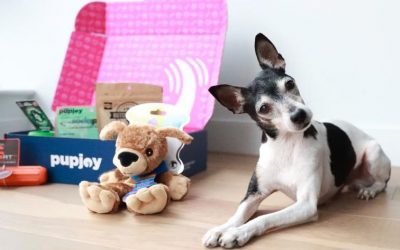Best dog food delivery services for 2020: Pet Plate, Ollie, Chewy and more – CNET