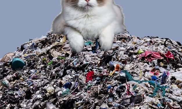 Five ways your pets can help save the planet by living greener lifestyle