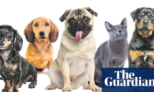 Love you to death: how we hurt the animals we cherish