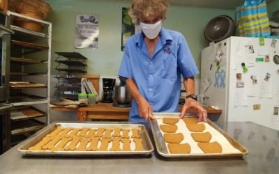 North Ridgeville business specializes in homemade pet treats – The Morning Journal