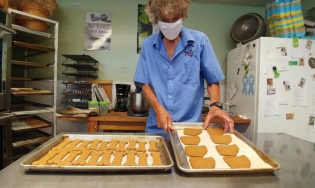 North Ridgeville business specializes in homemade pet treats – The Morning Journal