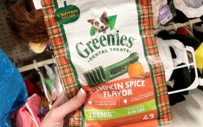 Halloween Costumes & Treats Now Available at Petsmart (+ How To Earn $10 Bonus Card w/ $50 Purchase)