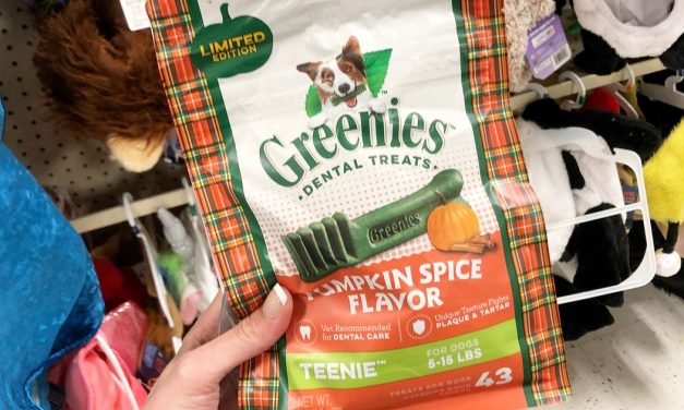Halloween Costumes & Treats Now Available at Petsmart (+ How To Earn $10 Bonus Card w/ $50 Purchase)
