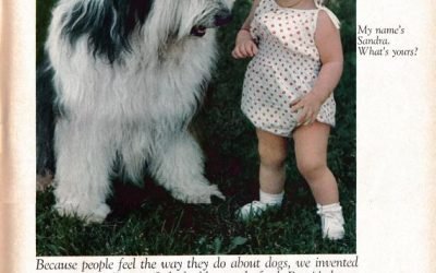 1968 Sheep Dog + Tiny Girl -Ken-L Ration Burger Dog Food-Original 13.5 * 10.5 Magazine Ad-Pet Food