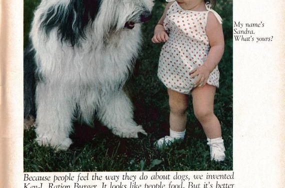 1968 Sheep Dog + Tiny Girl -Ken-L Ration Burger Dog Food-Original 13.5 * 10.5 Magazine Ad-Pet Food